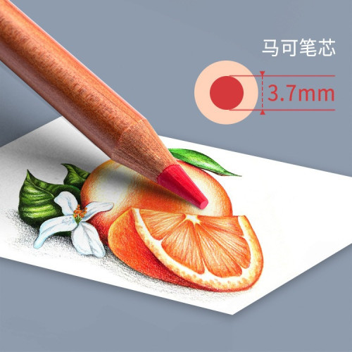 馬可雷諾阿彩鉛畫畫塗鴉畫筆畫室專用36/48/72色專業油性彩色鉛筆