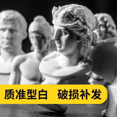 樹脂石膏像大衛維納斯阿波羅琴女美少女美術學生素描居家裝飾模具