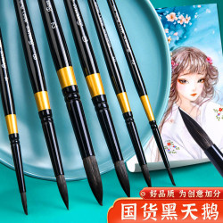 黑天鵞水彩筆美術專業用黑杆單支圓頭學生繪畫松鼠毛顔料畫筆批髮