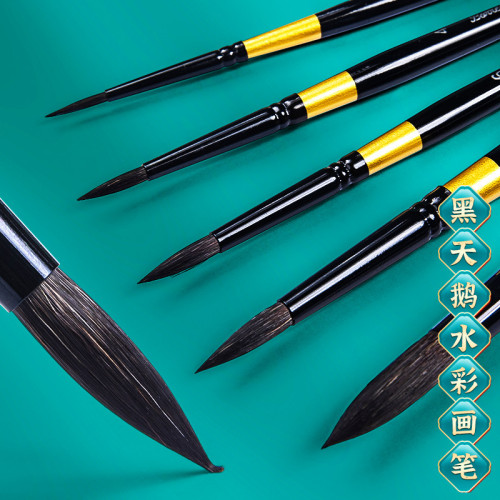 黑天鵞水彩筆美術專業用黑杆單支圓頭學生繪畫松鼠毛顔料畫筆批髮