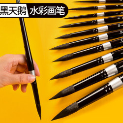 美國黑天鵞水彩筆BlackVelvet黑杆松鼠毛勾線筆3000s圓頭美術畫筆