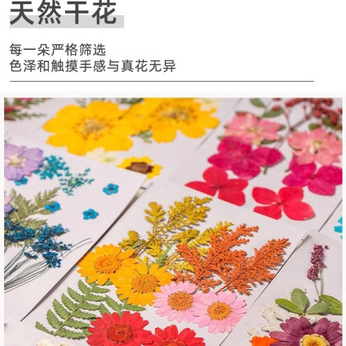 永生花diy相框雙面玻璃禮物 節乾花手工材料情侶親子繪畫顔料畫框