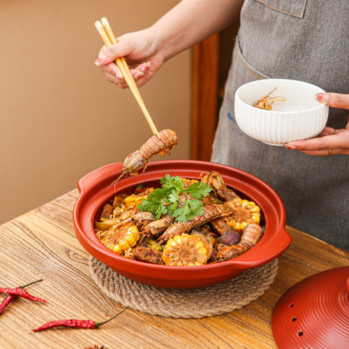 天戈大口紅色砂鍋耐高溫陶瓷乾鍋菜魚頭煲湯煲仔飯瓦斯乾燒淺沙鍋 天戈大口紅色砂鍋耐高溫陶瓷乾鍋菜魚頭煲湯煲仔飯瓦斯乾燒淺沙鍋